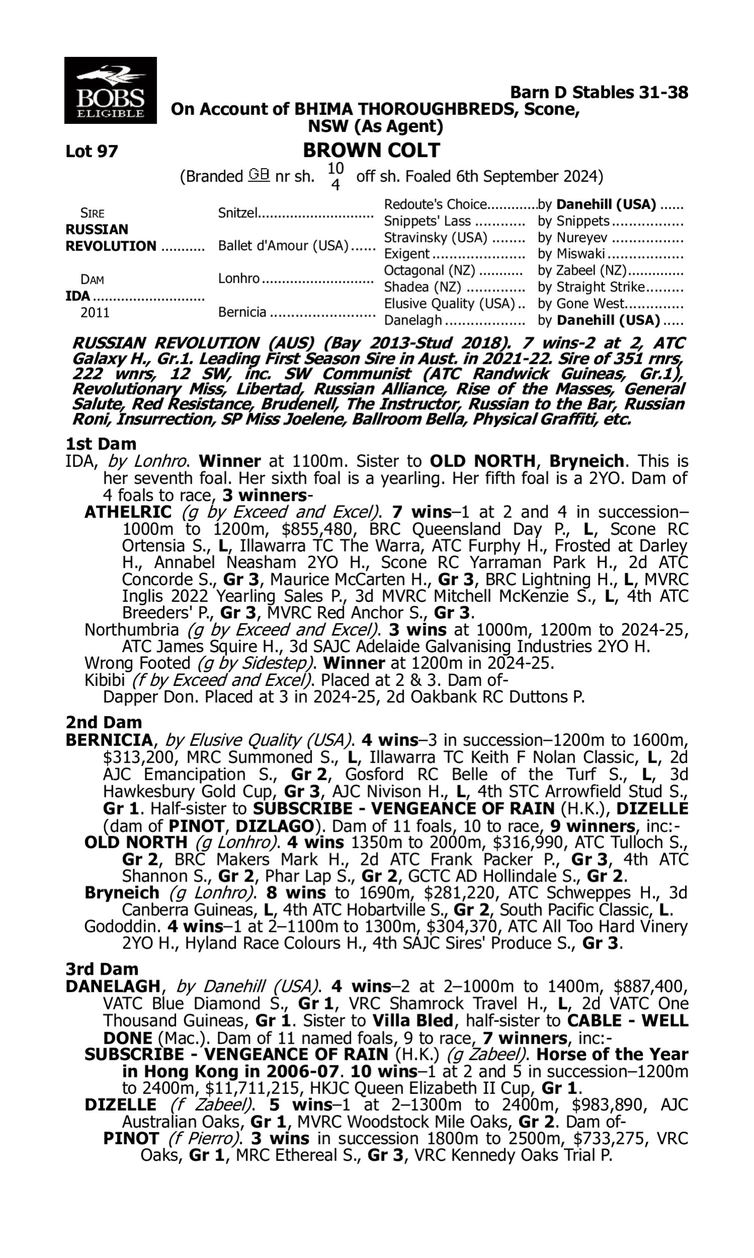 Pedigree for Lot 97 Russian Revolution - Ida
