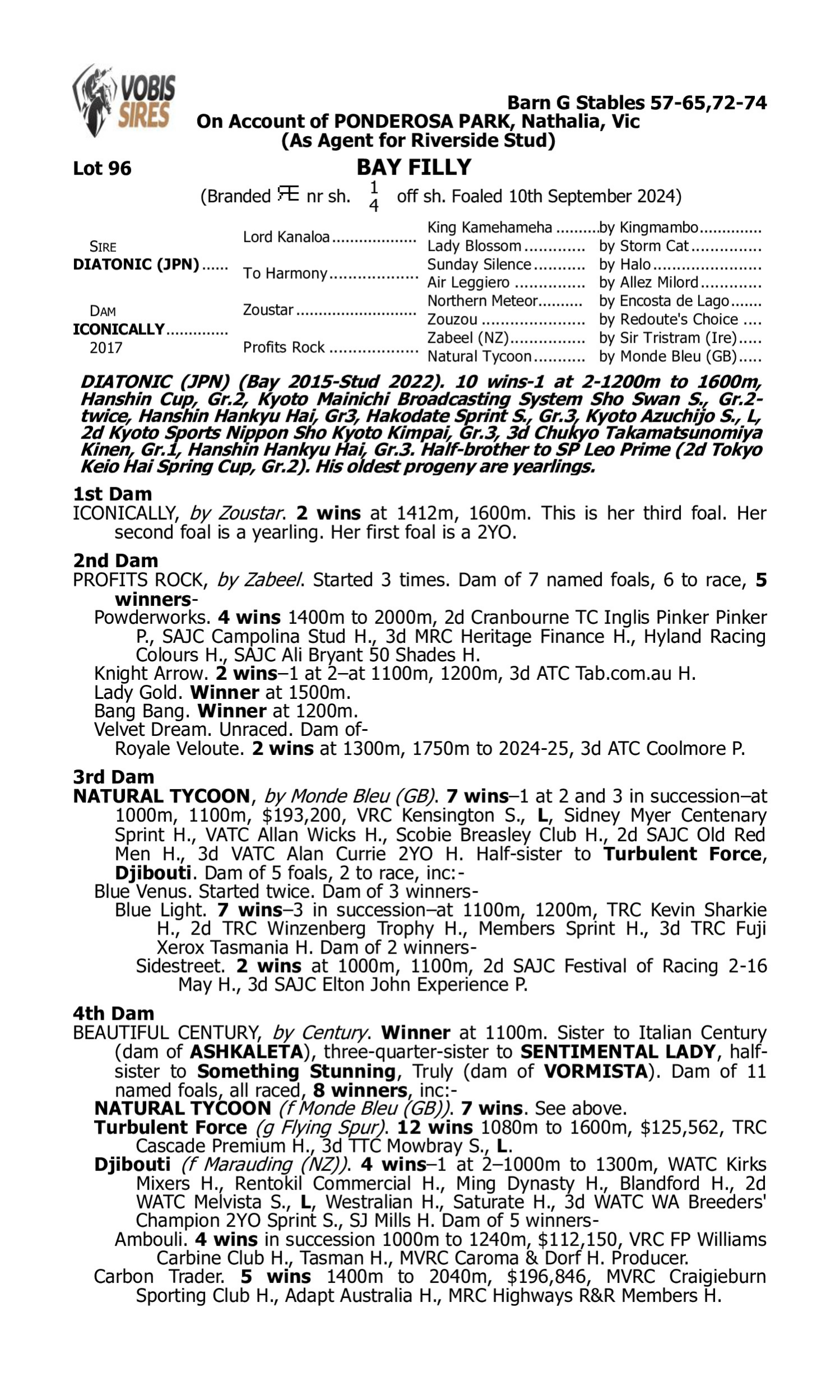 Pedigree for Lot 96 Diatonic (JPN) - Iconically