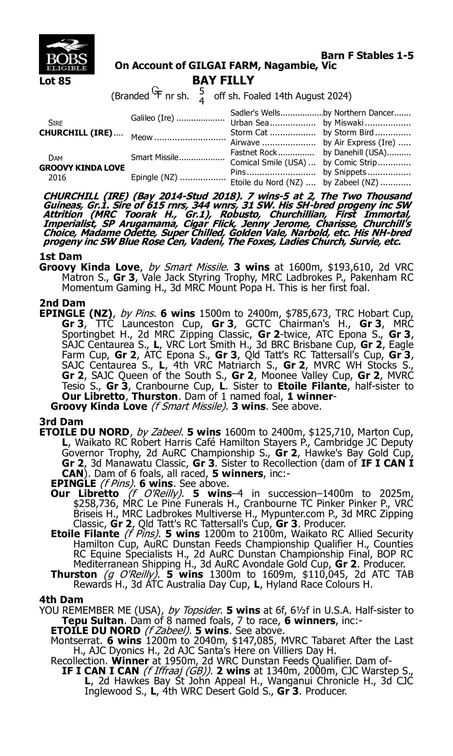 Pedigree for Lot 85 Churchill (IRE) - Groovy Kinda Love