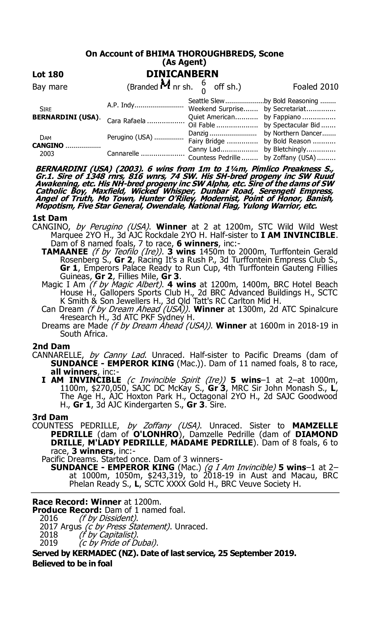 Pedigree for Lot 180 Bernardini (USA) - Cangino