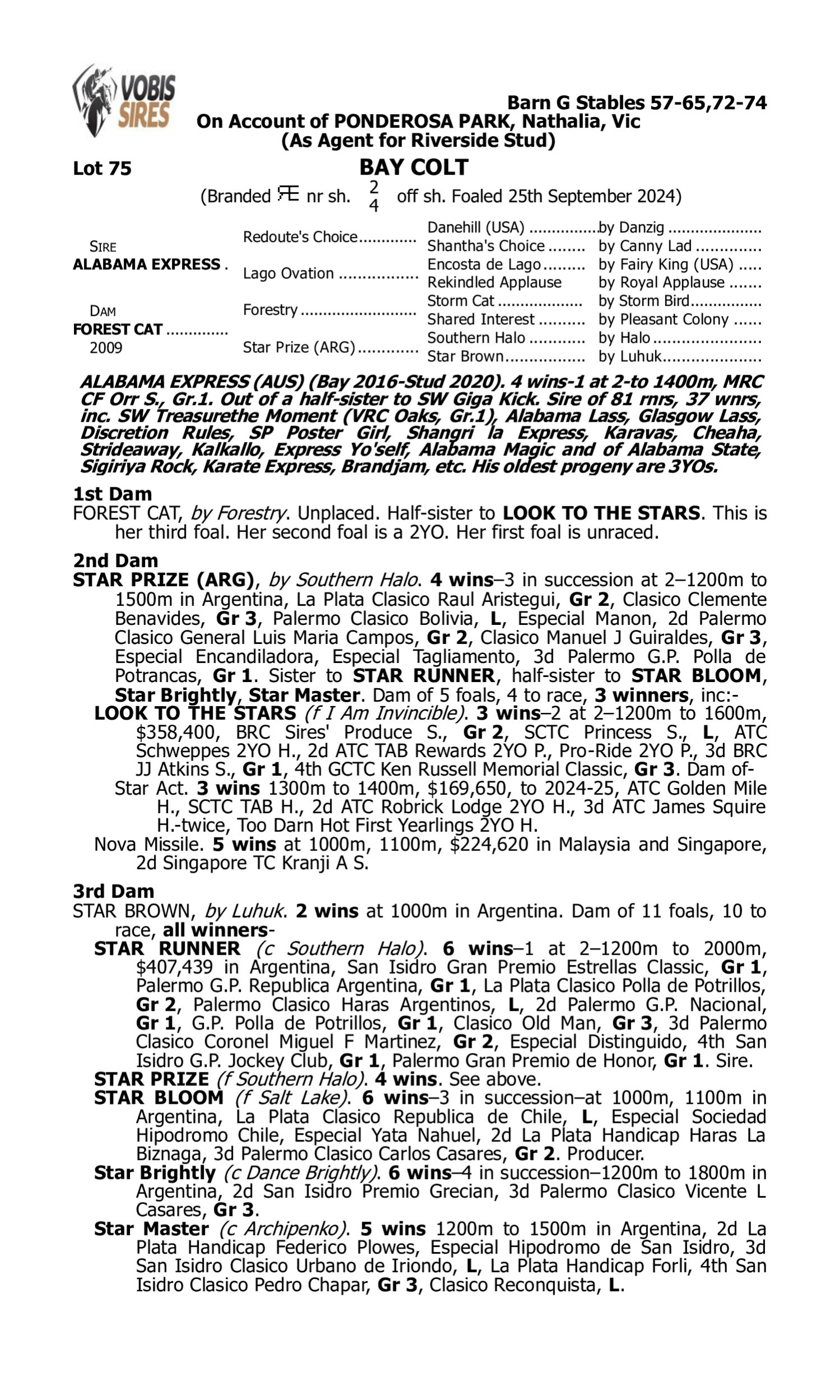 Pedigree for Lot 75 Alabama Express - Forest Cat