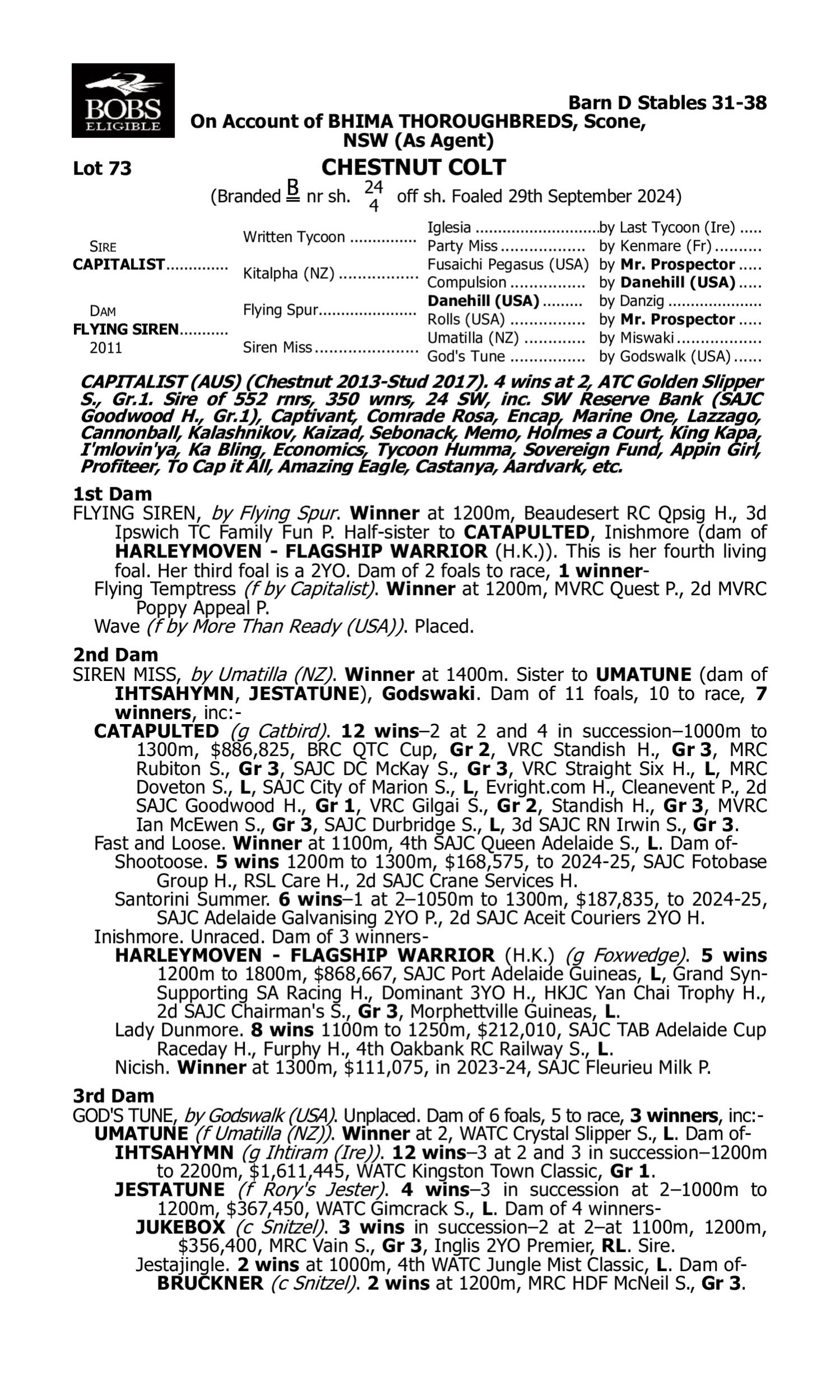 Pedigree for Lot 73 Capitalist - Flying Siren