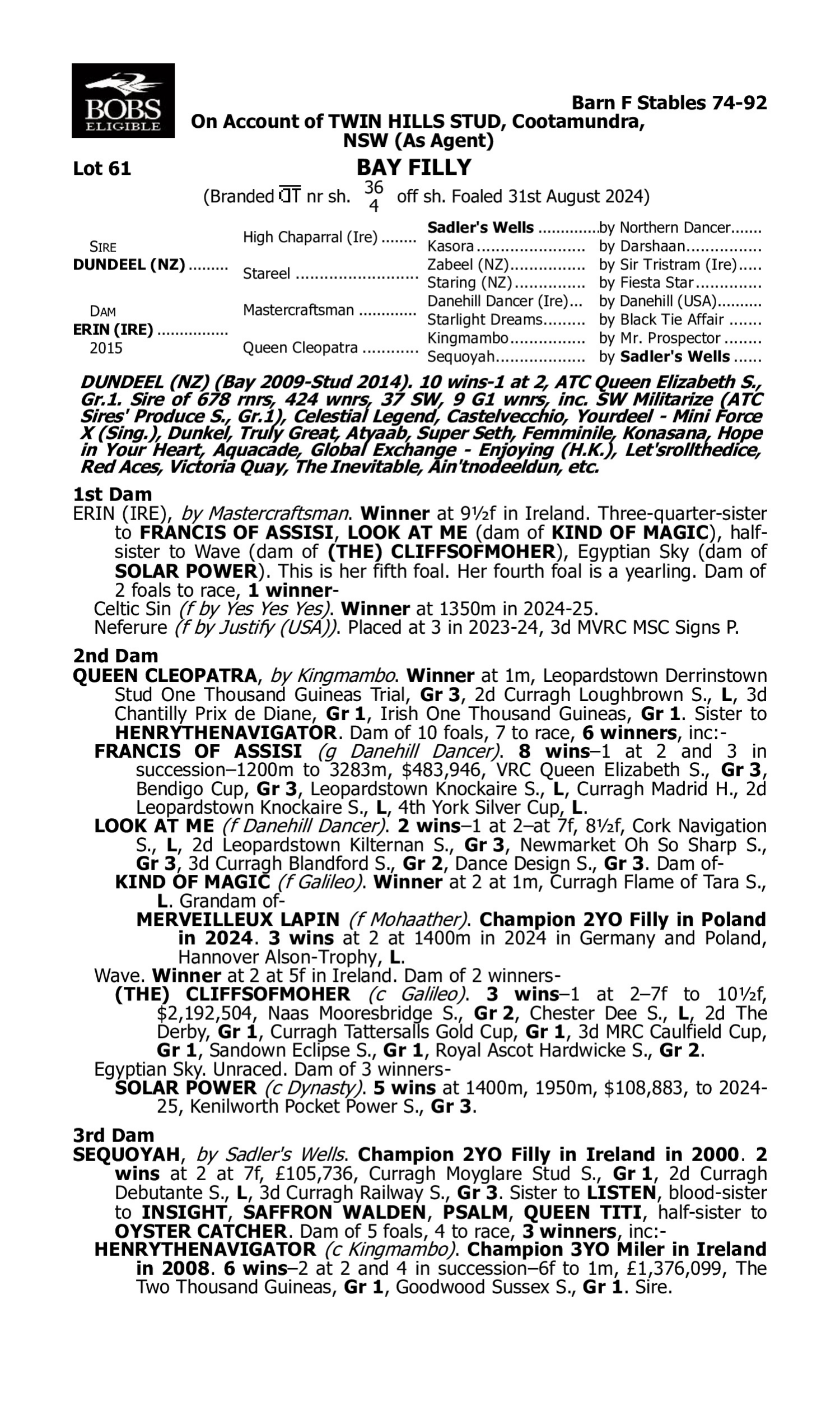 Pedigree for Lot 61 Dundeel (NZ) - Erin (IRE)