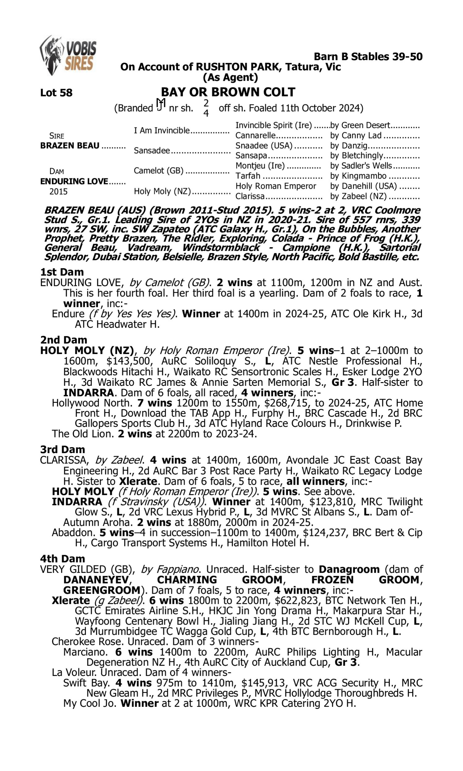 Pedigree for Lot 58 Brazen Beau - Enduring Love