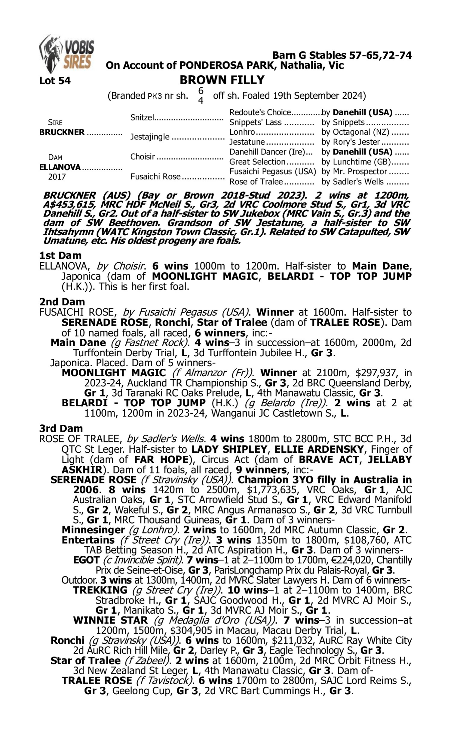 Pedigree for Lot 54 Bruckner - Ellanova