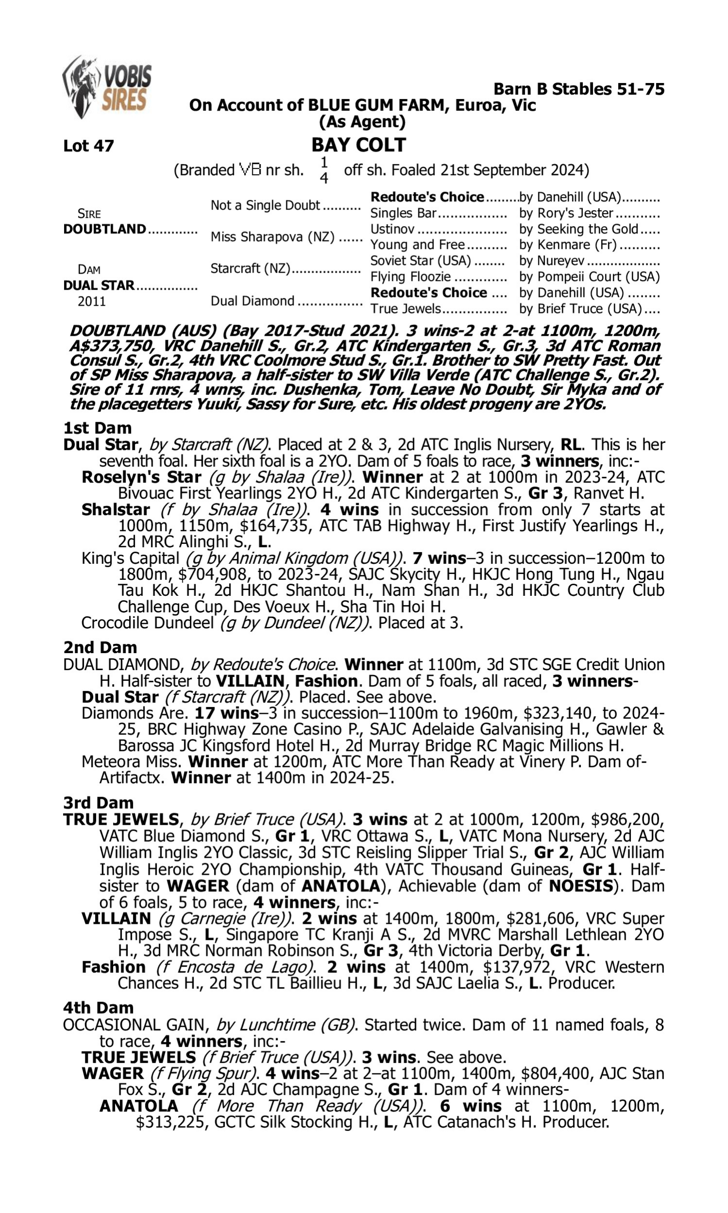 Pedigree for Lot 47 Doubtland - Dual Star