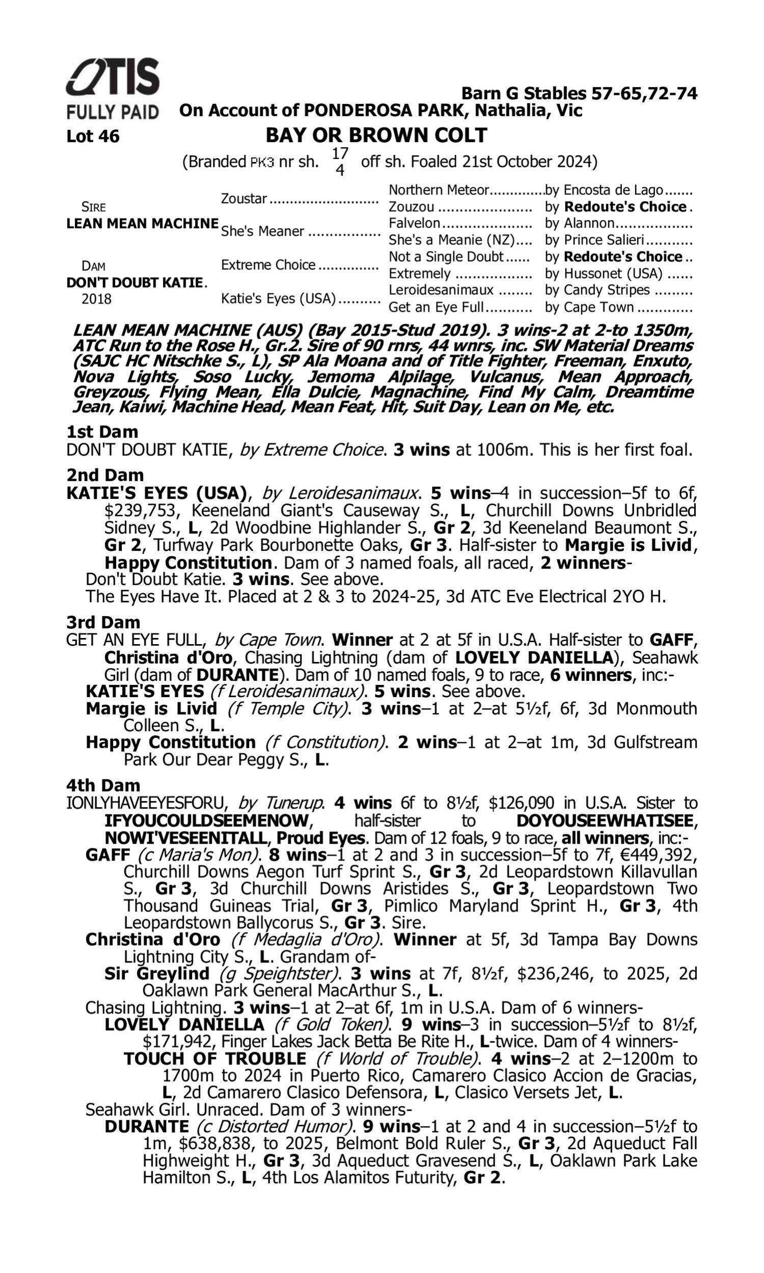 Pedigree for Lot 46 Lean Mean Machine - Don't Doubt Katie