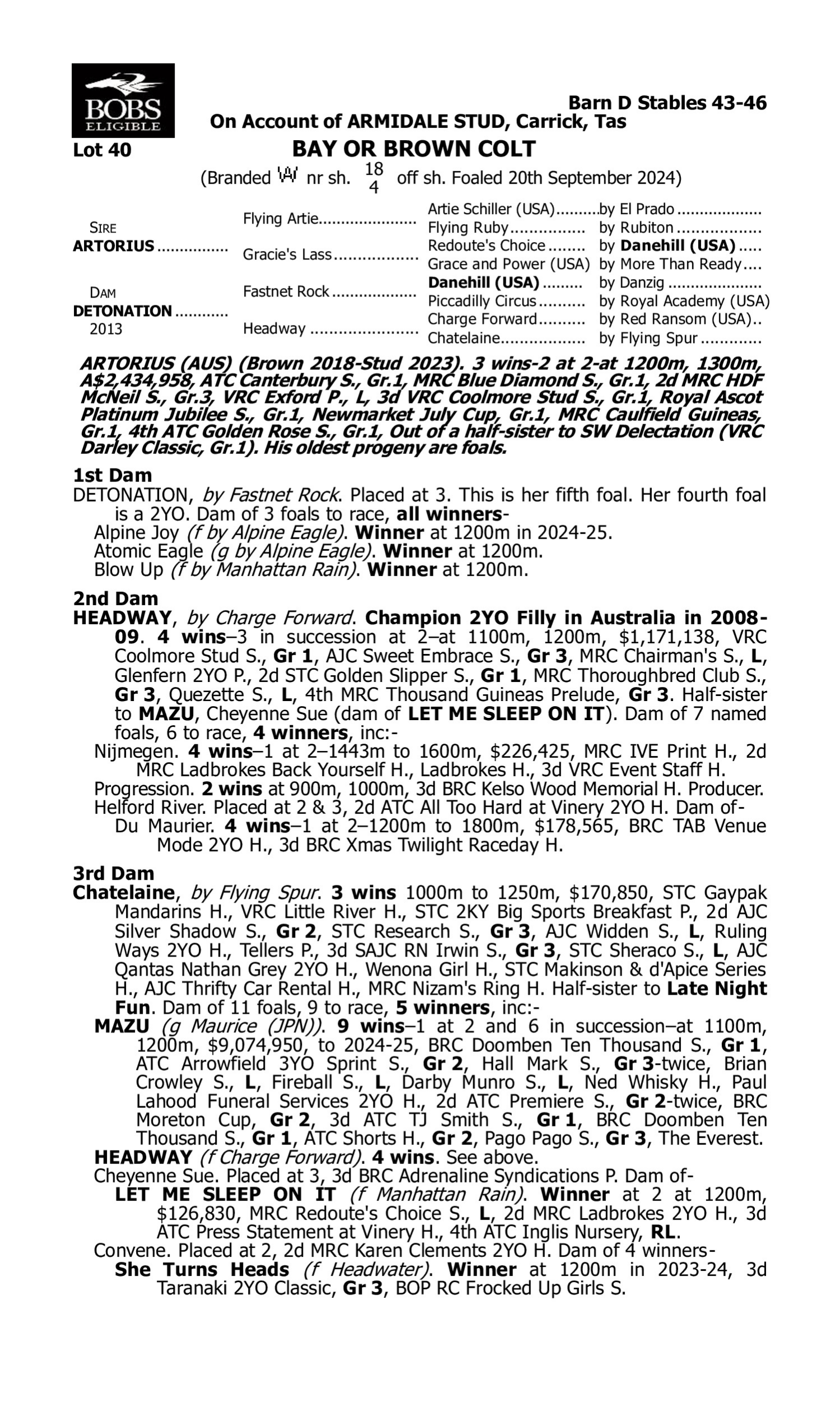 Pedigree for Lot 40 Artorius - Detonation