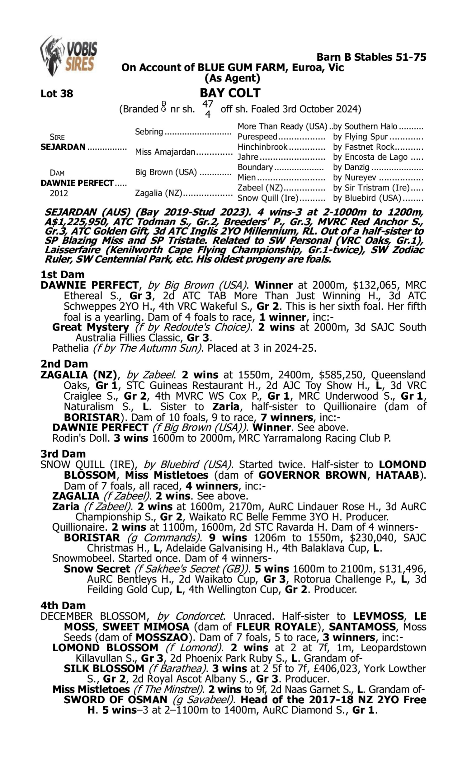 Pedigree for Lot 38 Sejardan - Dawnie Perfect