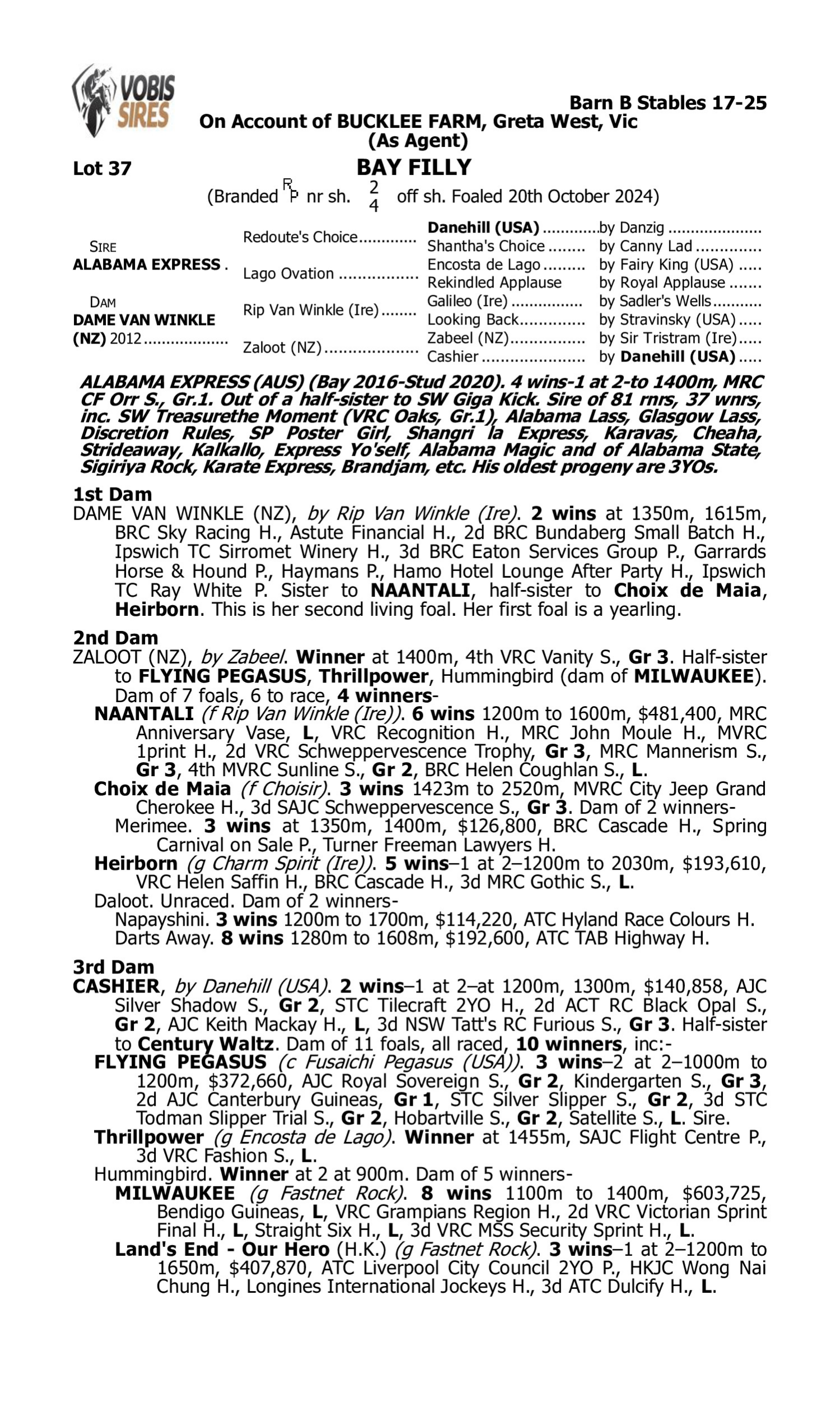 Pedigree for Lot 37 Alabama Express - Dame Van Winkle (NZ)