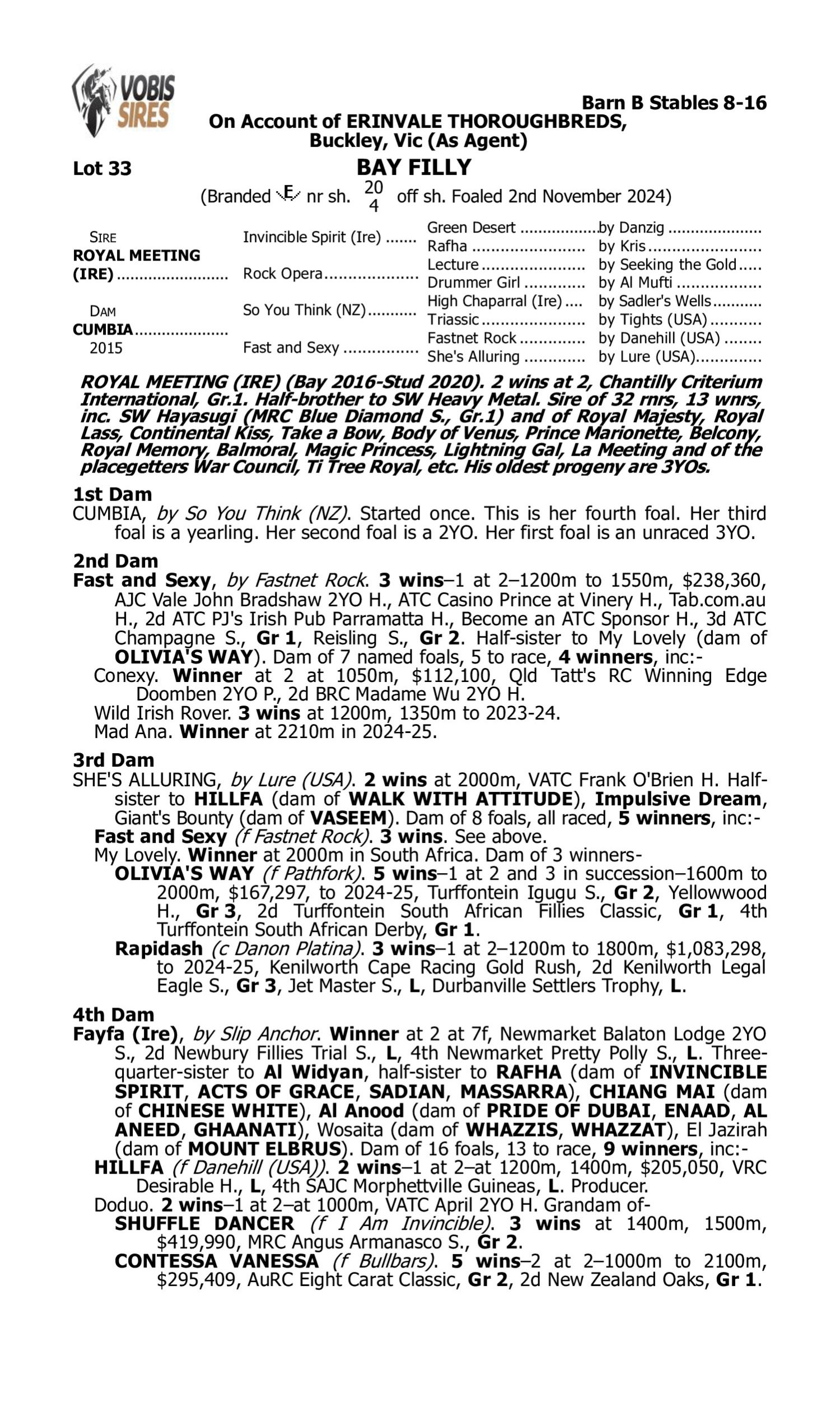 Pedigree for Lot 33 Royal Meeting (IRE) - Cumbia
