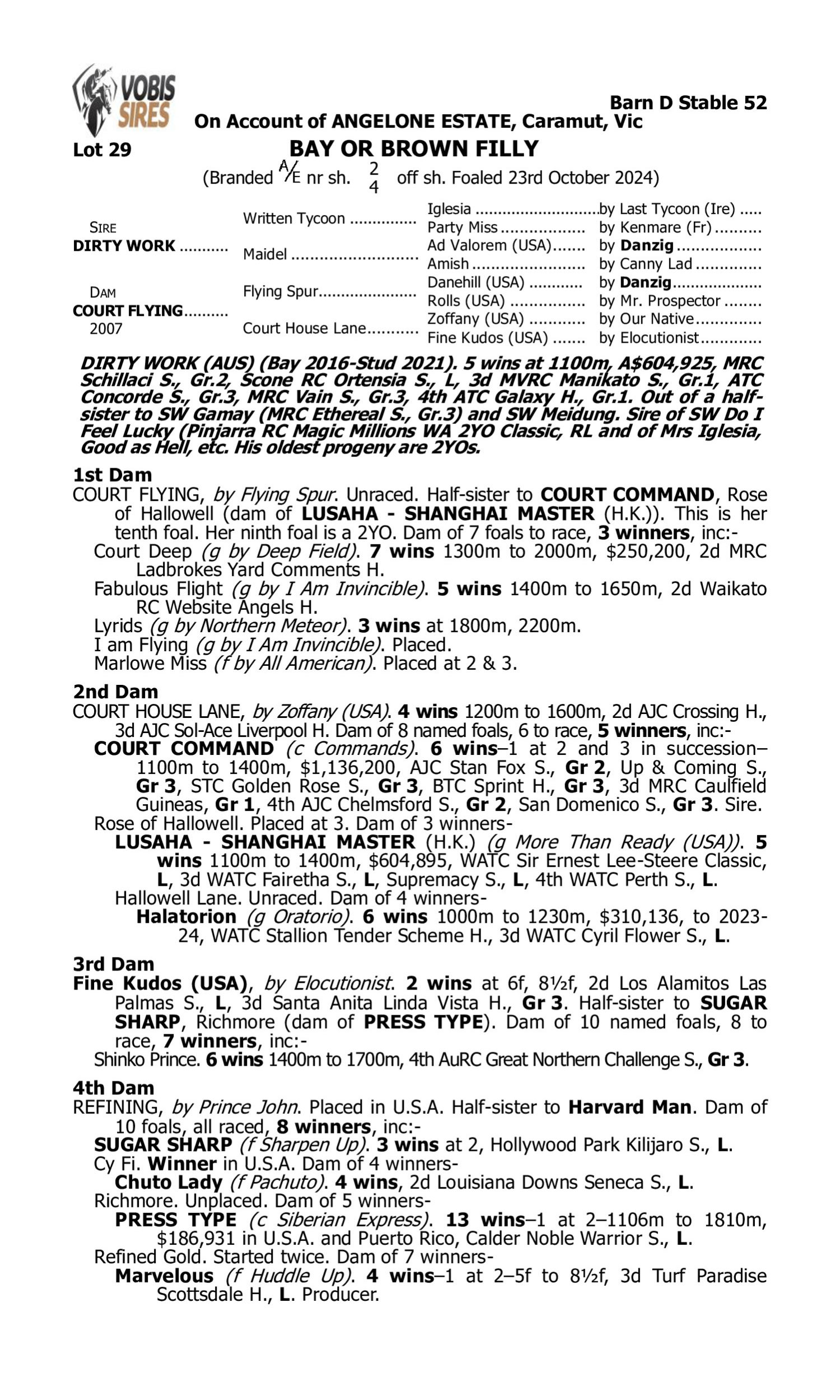 Pedigree for Lot 29 Dirty Work - Court Flying