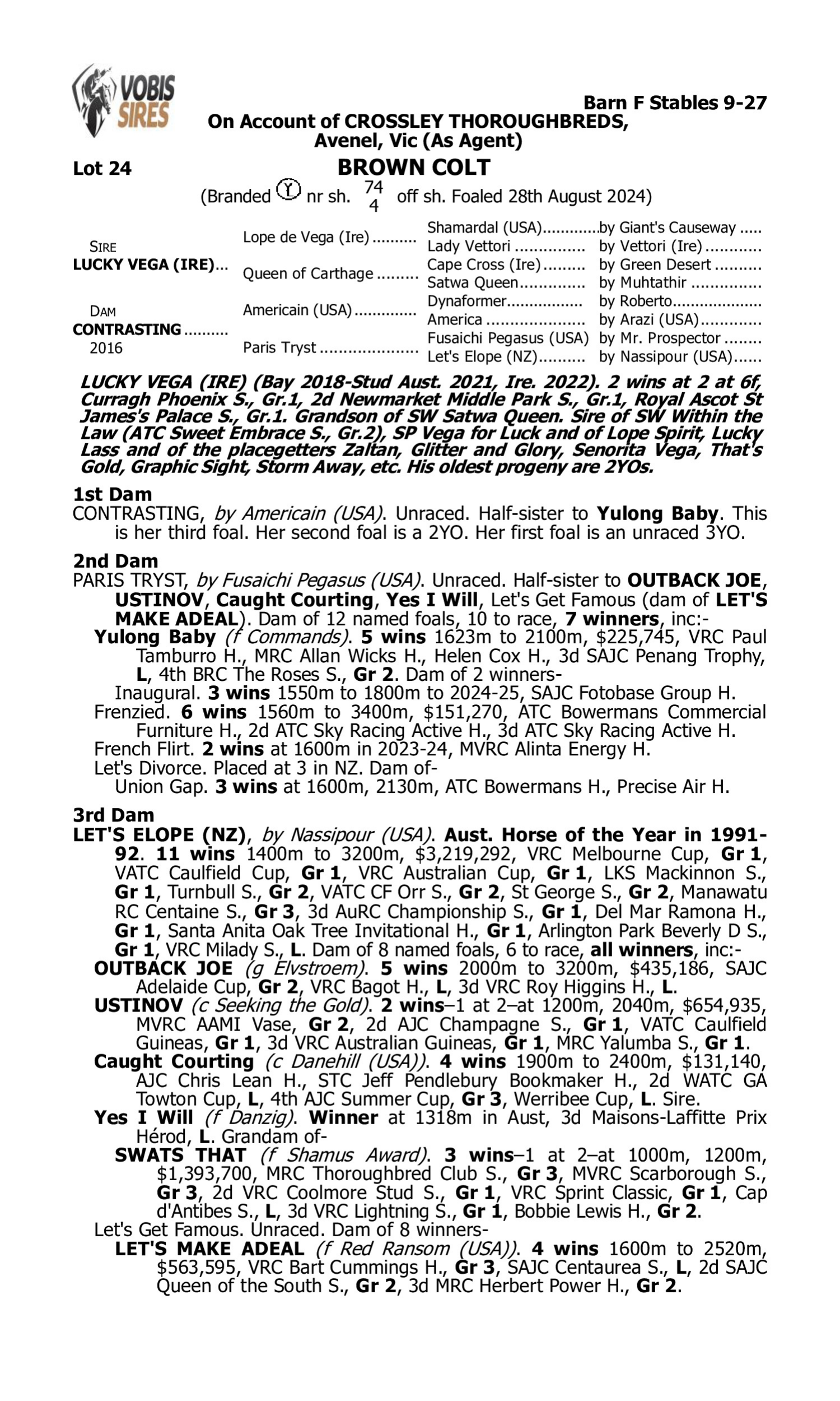Pedigree for Lot 24 Lucky Vega (IRE) - Contrasting