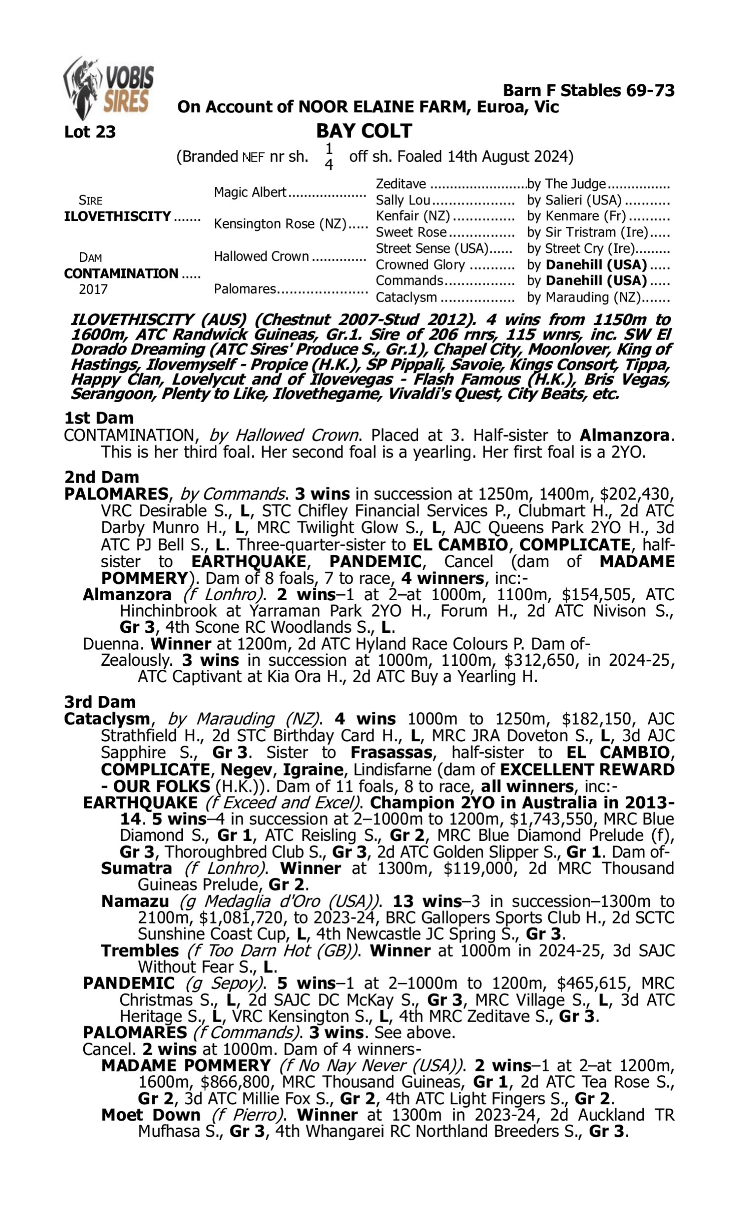 Pedigree for Lot 23 Ilovethiscity - Contamination