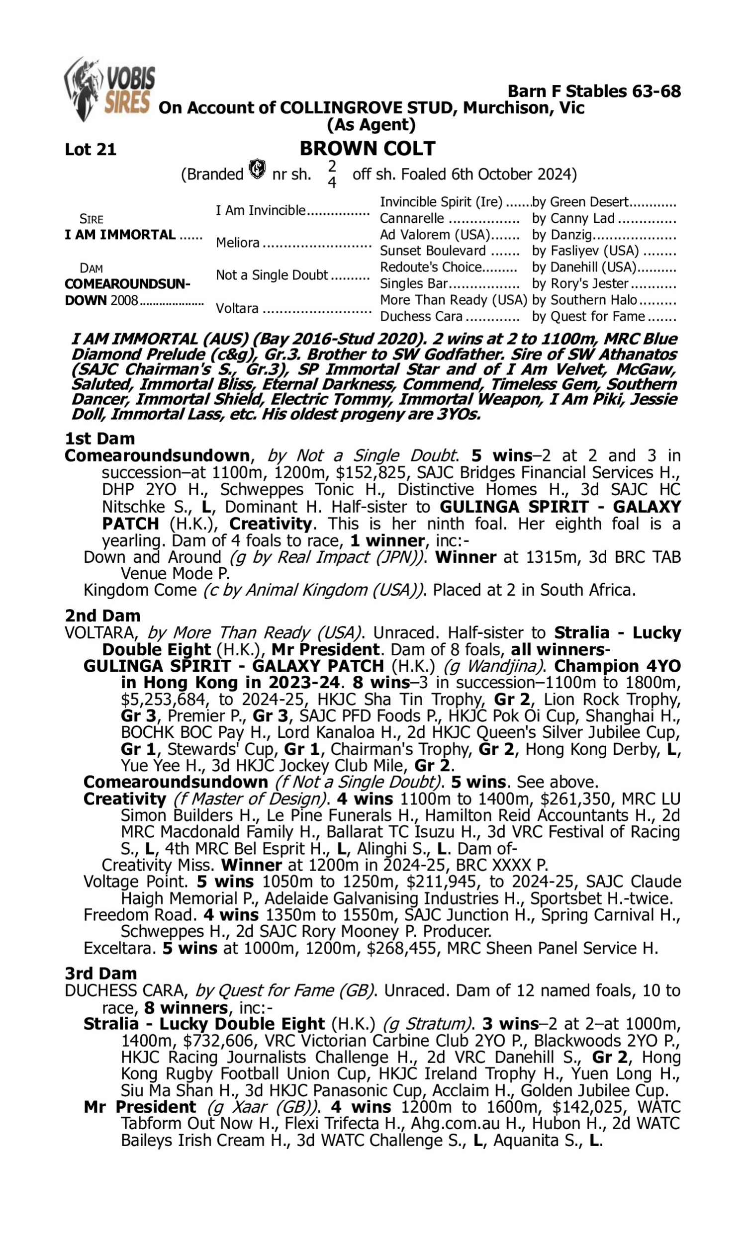 Pedigree for Lot 21 I Am Immortal - Comearoundsundown