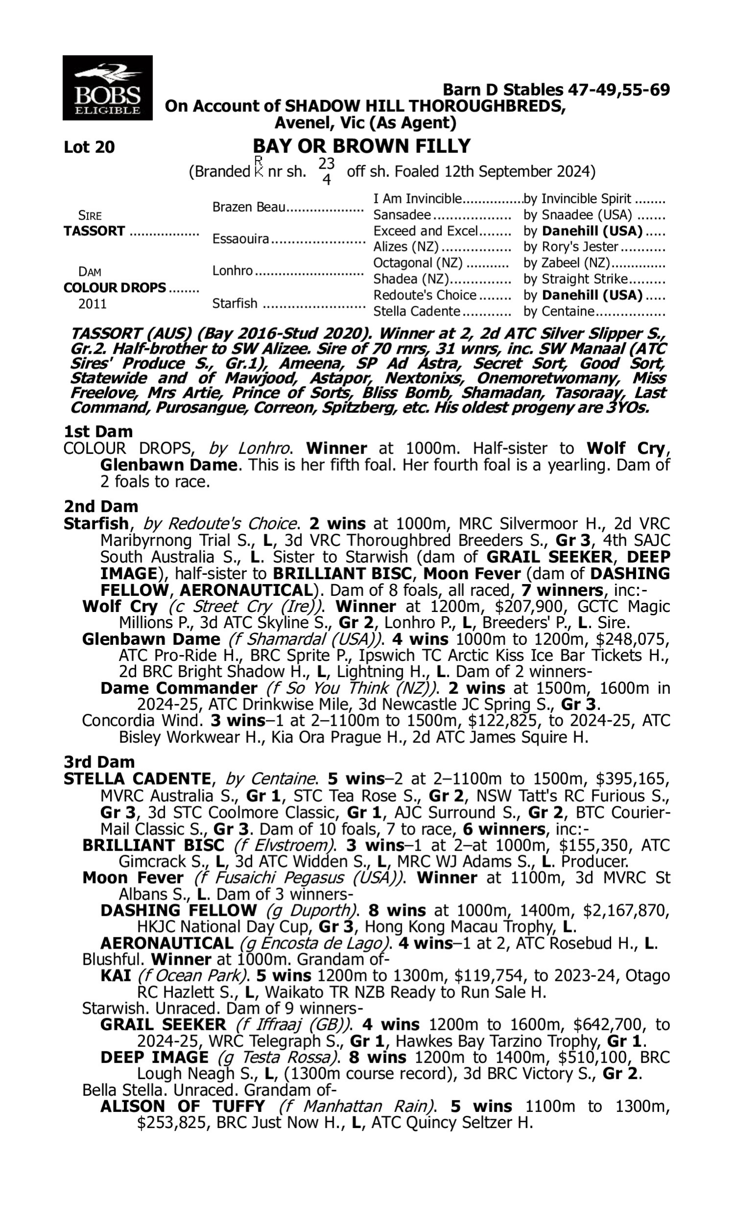 Pedigree for Lot 20 Tassort - Colour Drops