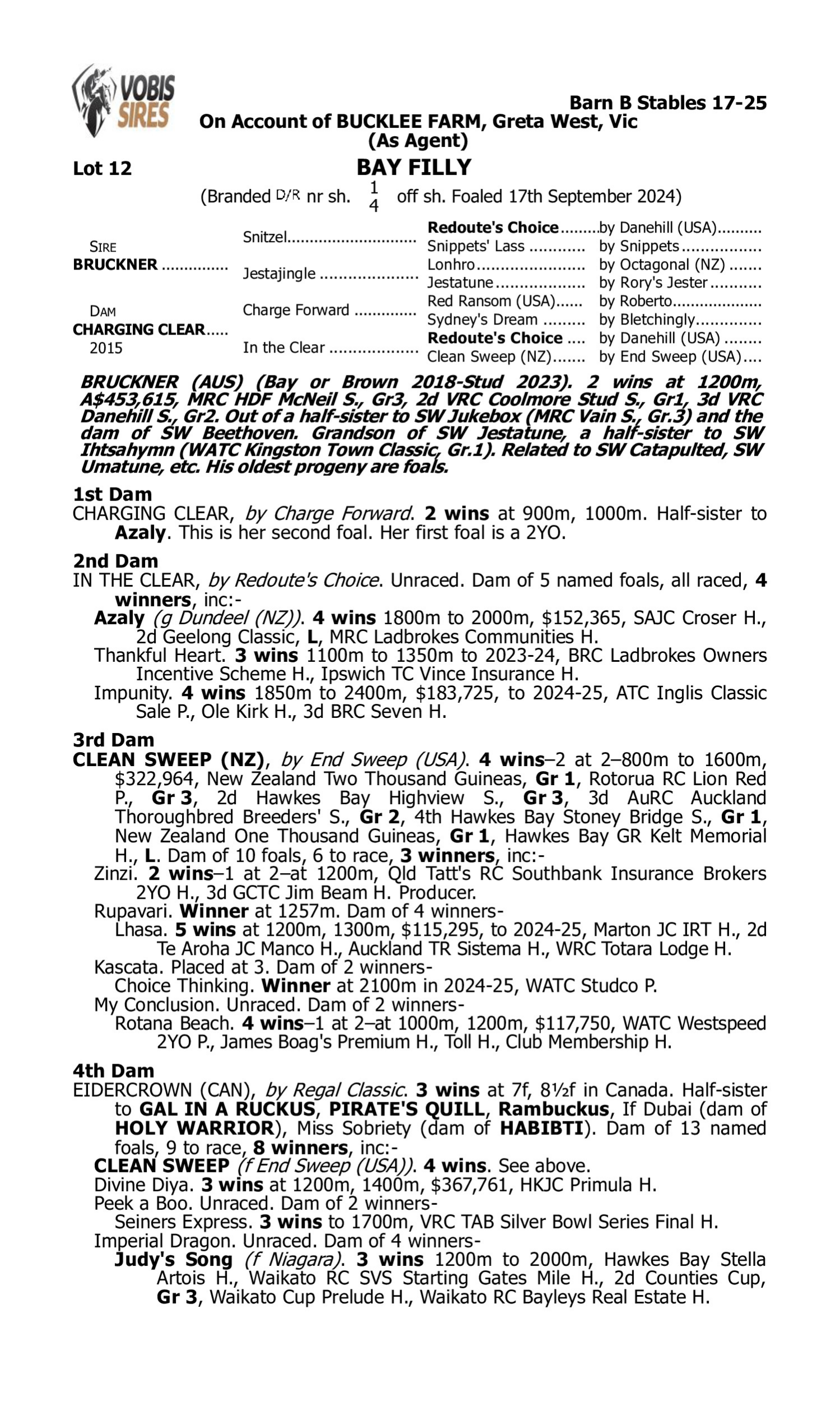 Pedigree for Lot 12 Bruckner - Charging Clear