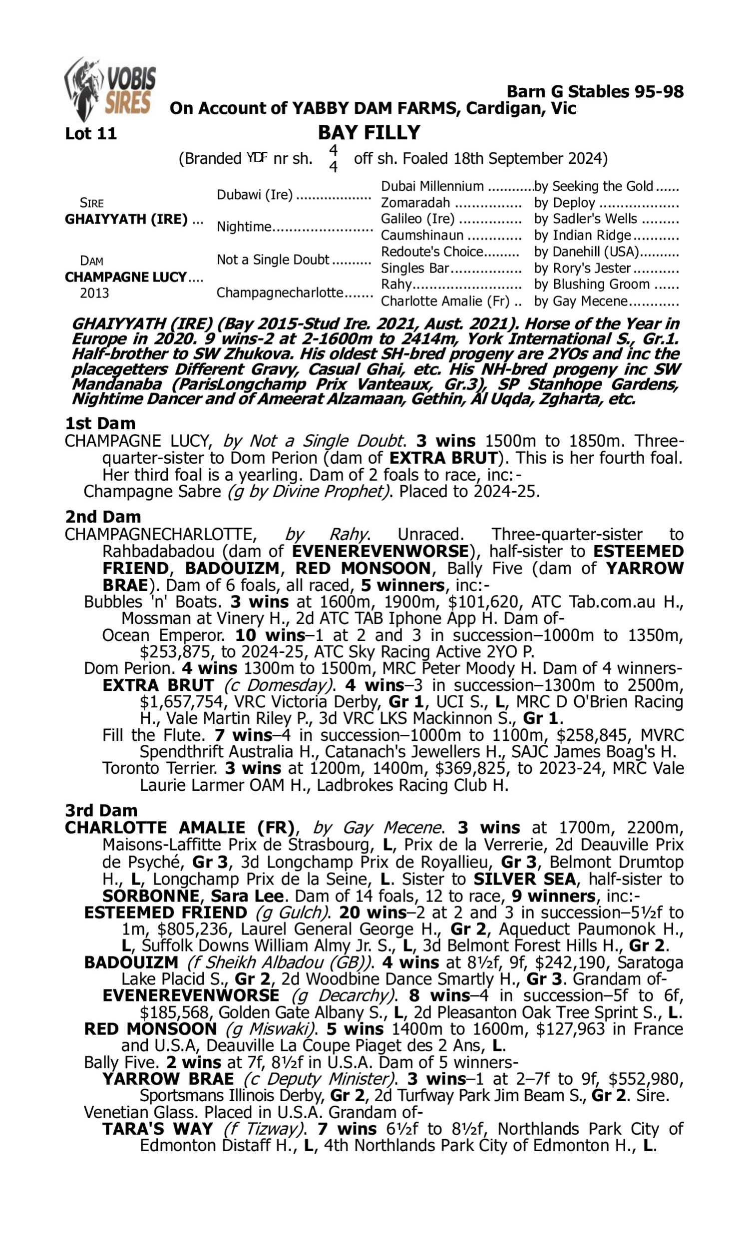 Pedigree for Lot 11 Ghaiyyath (IRE) - Champagne Lucy