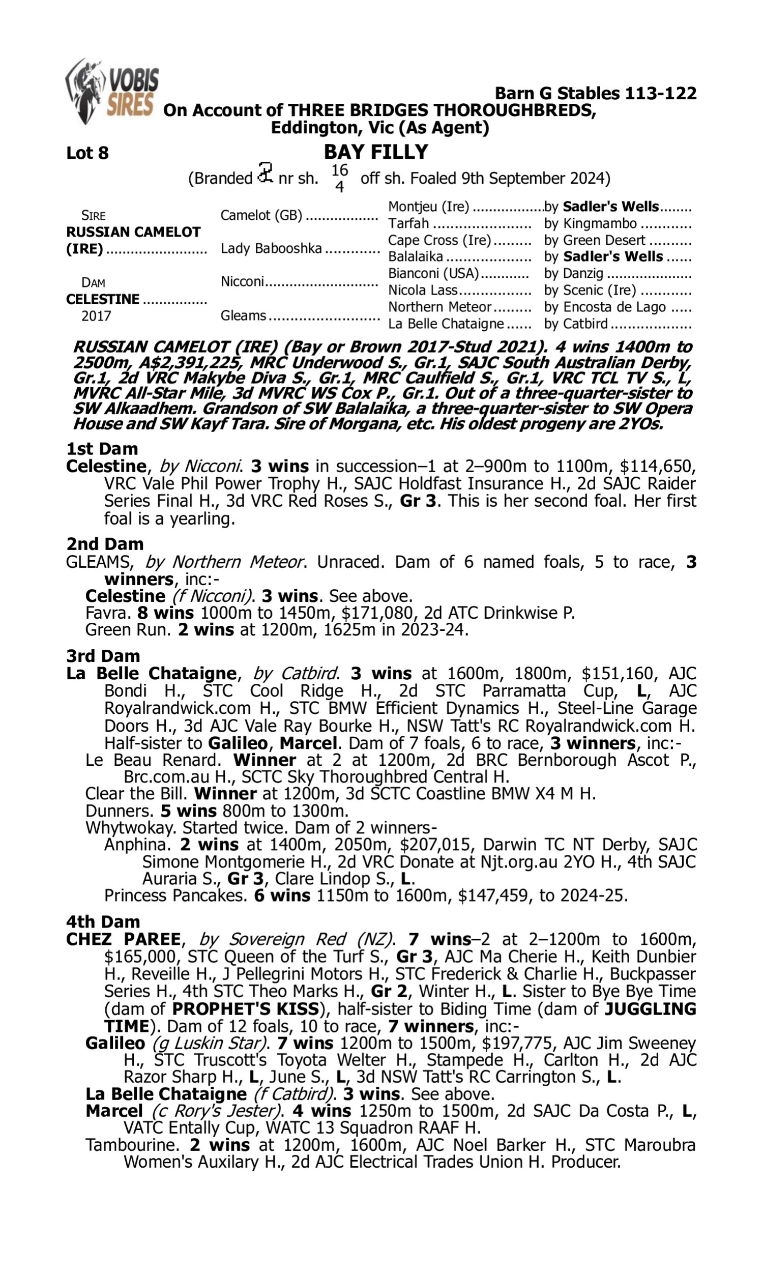 Pedigree for Lot 8 Russian Camelot (IRE) - Celestine