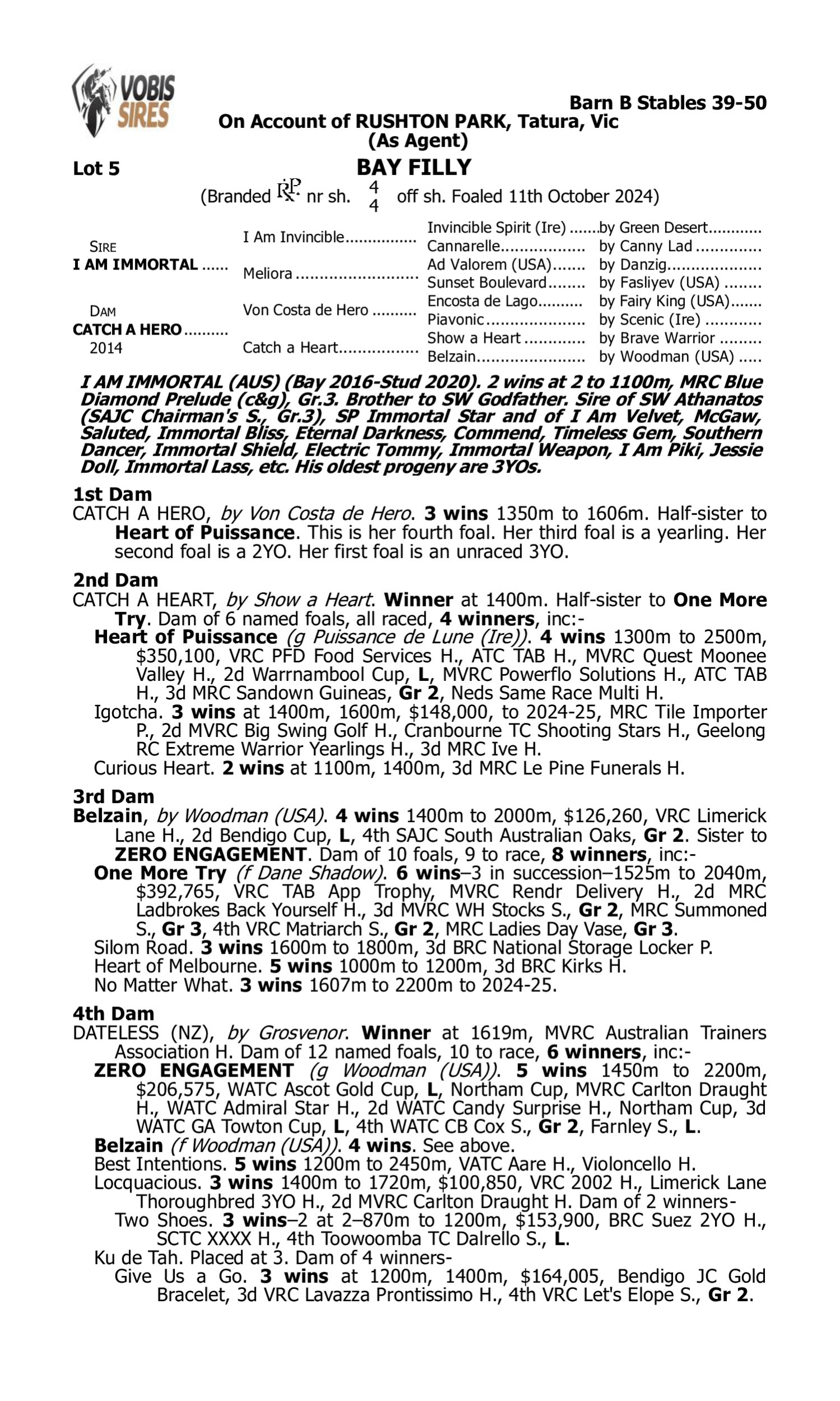 Pedigree for Lot 5 I Am Immortal - Catch a Hero