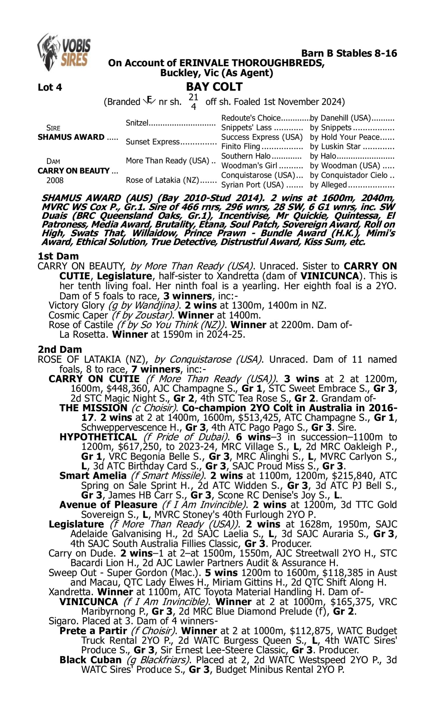 Pedigree for Lot 4 Shamus Award - Carry on Beauty