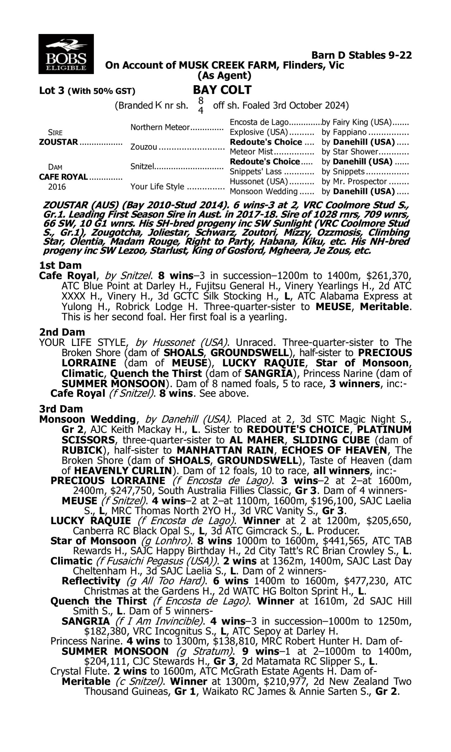 Pedigree for Lot 3 Zoustar - Cafe Royal