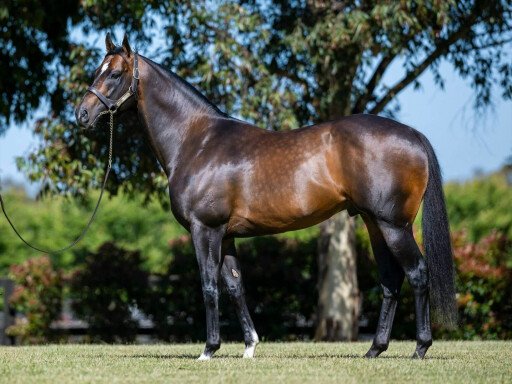 Alabama Express share headlines May (Late) Online Sale