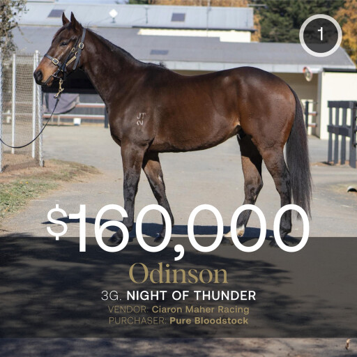 Odinson tops May (Late) Sale at $160,000
