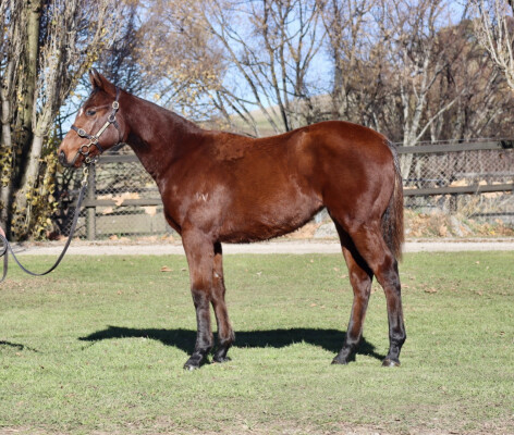 Lot 287: Capitalist / Aimless
