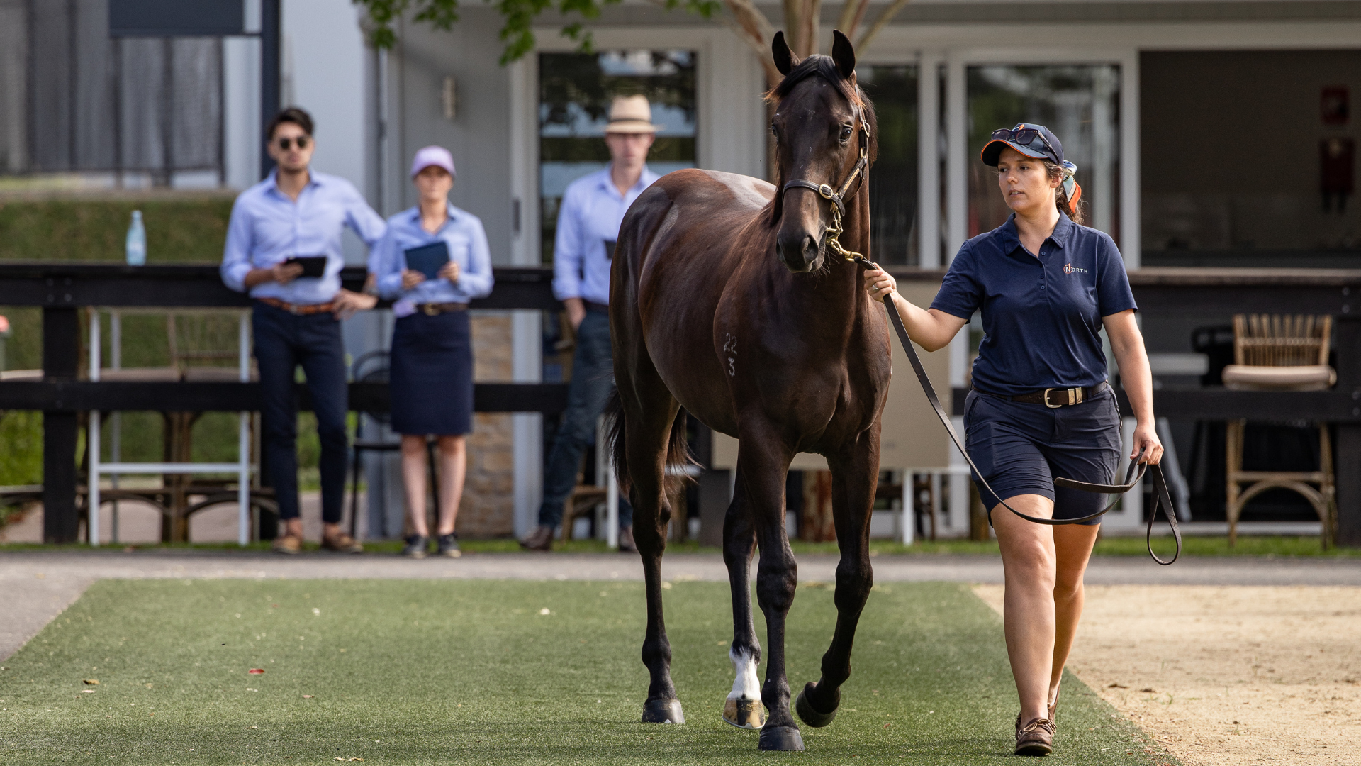 Inglis Internship applications open