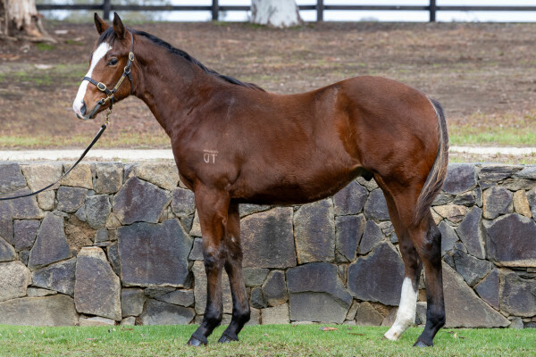 Lot 207: Daumier / Rochelle