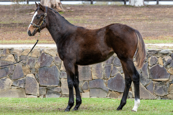 Lot 210: Kermadec (NZ) / Safe Passage