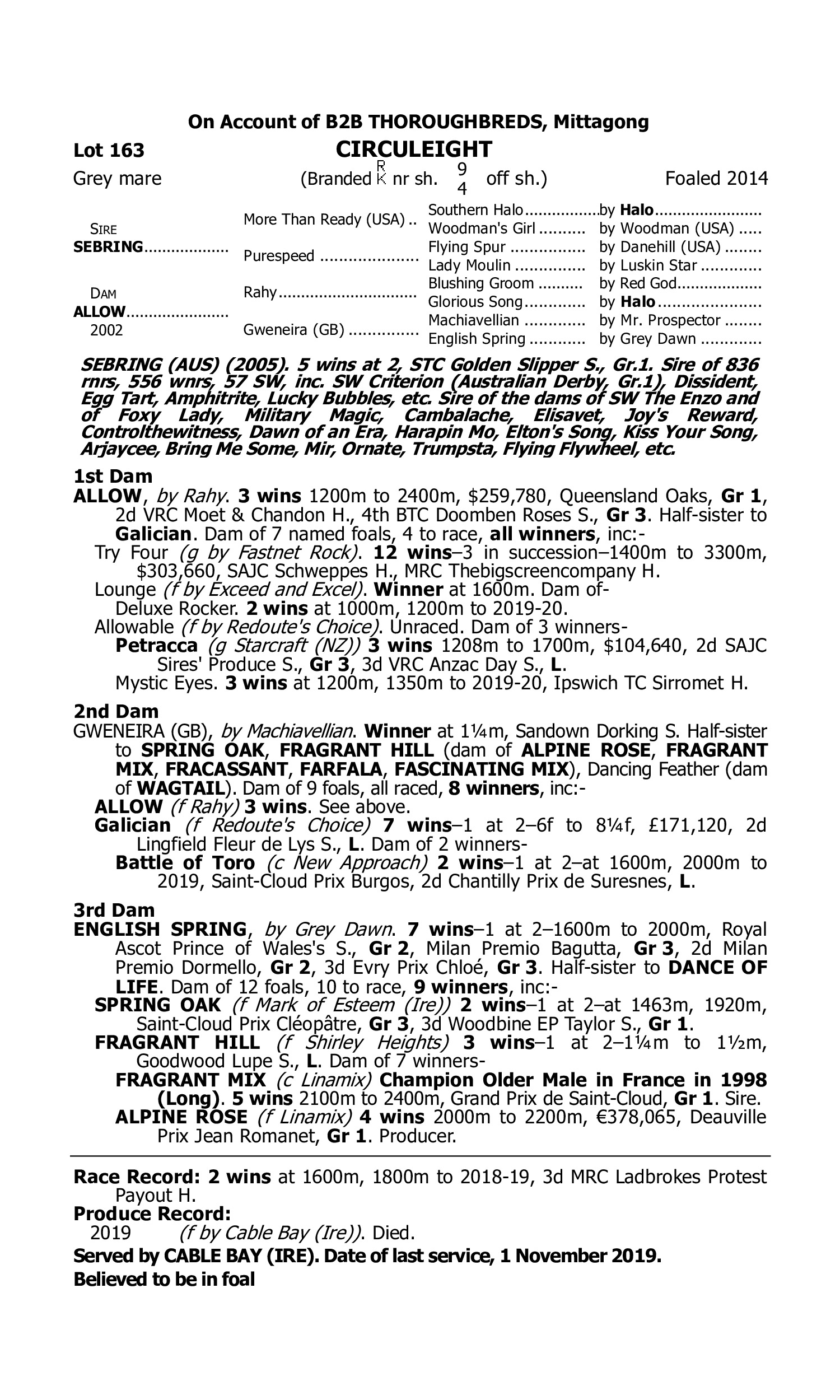 Pedigree for Lot 163 Sebring - Allow
