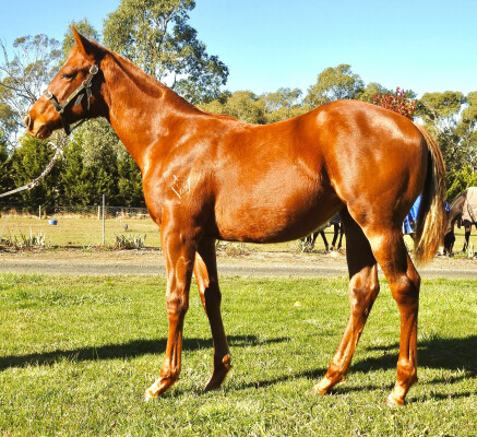 Lot 101: Dirty Work / Indice