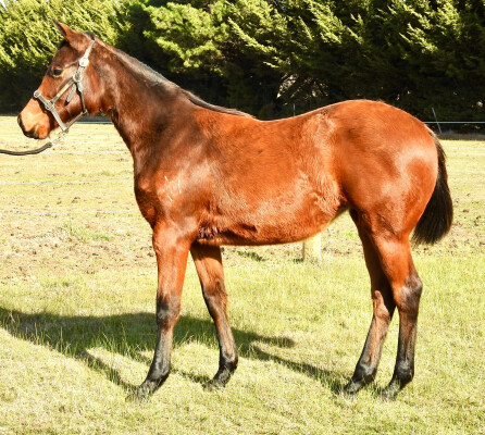 Lot 150: Written By / Martindale Road