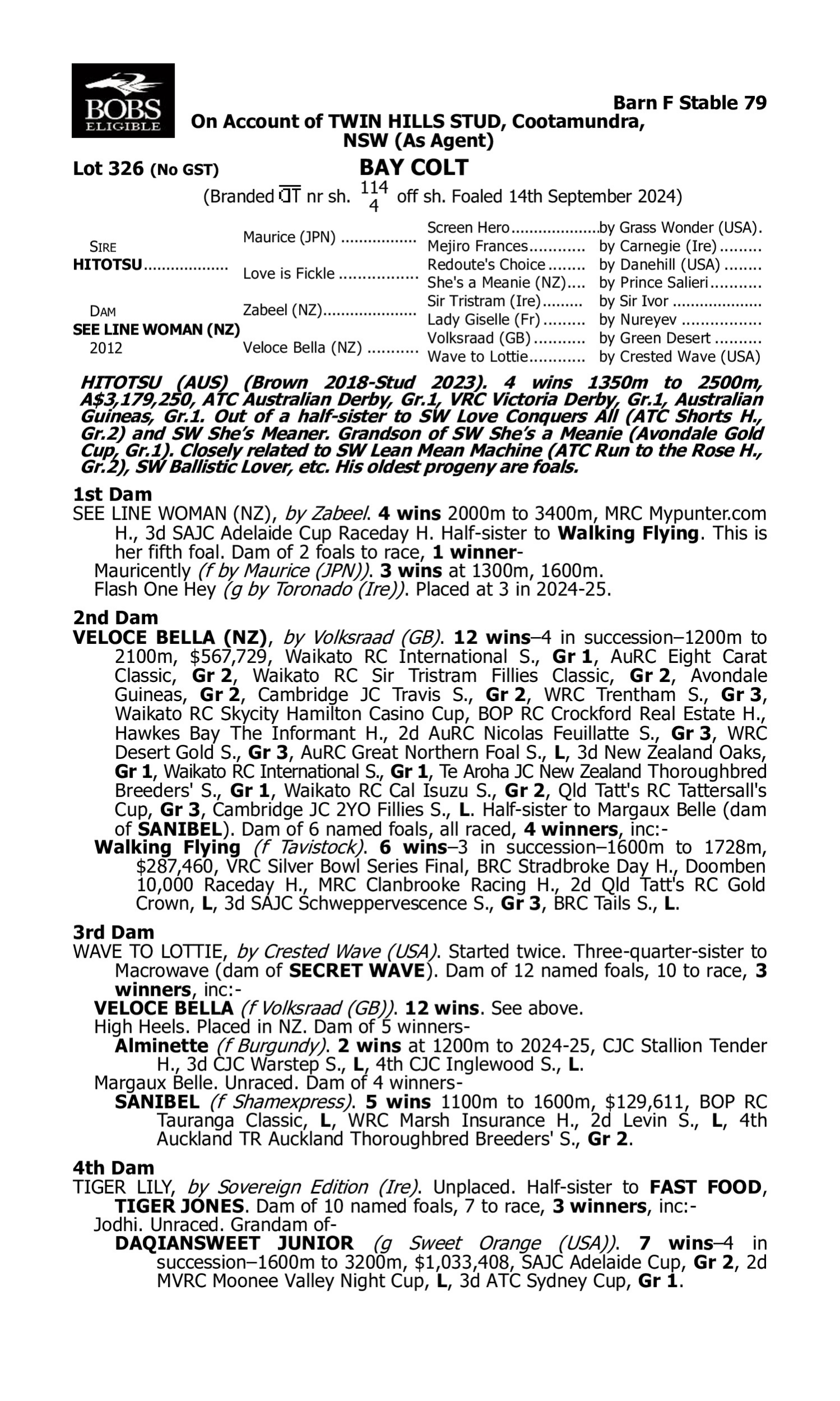 Pedigree for Lot 326 Hitotsu - See Line Woman (NZ)