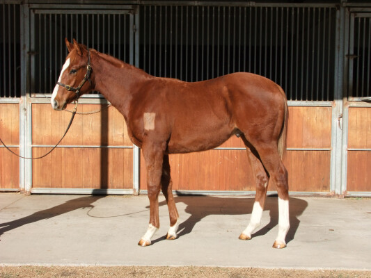 Lot 65: Dubious / Fairy Song