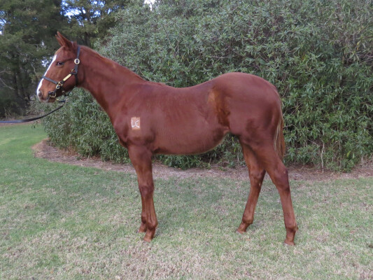 Lot 131: Rich Enuff / Laura's Avenue