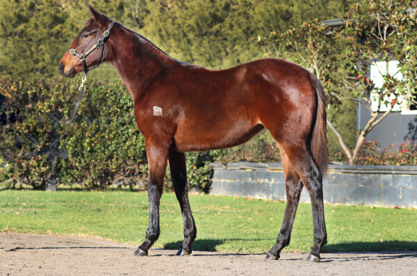 Lot 211: Shamus Award / Sandover
