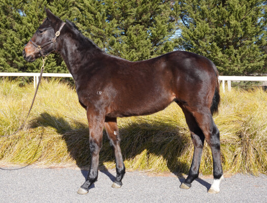 Lot 206: Dirty Work / River Pearl