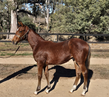 Lot 35: Impending / Daft