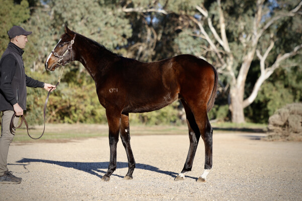 Lot 86: Dirty Work / Gruinard Bay