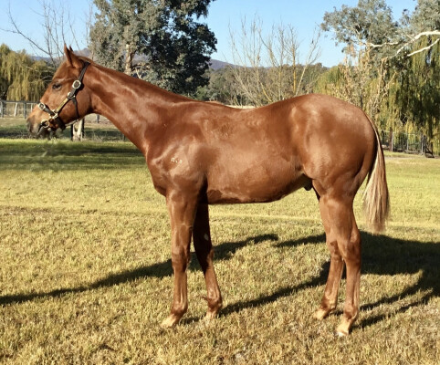 Lot 25: Dirty Work / Cooper's Girl