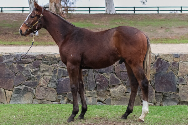 Lot 326: Hitotsu / See Line Woman (NZ)