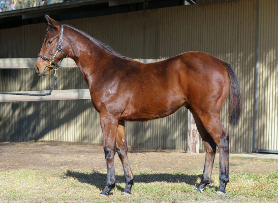 Lot 23: Ilovethiscity / Contamination