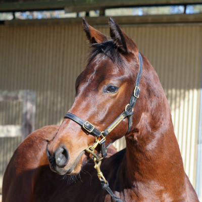 Lot 23: Ilovethiscity / Contamination