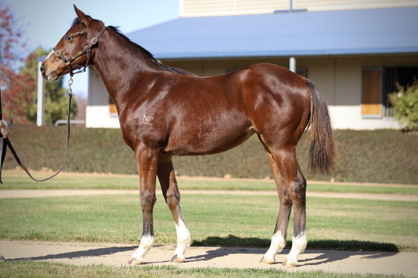 Lot 183: Microphone / Our Ransom Star