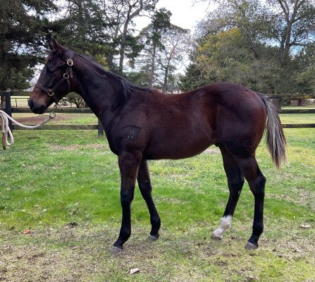 Lot 309: Dirty Work / Beam Ahead