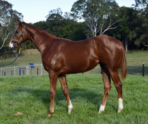 Lot 323: Written By / Not a Happy Camper