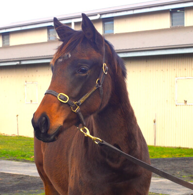 Lot 107: St Mark's Basilica (FR) / Jamita